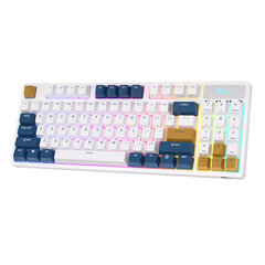 Mechanical keyboard Royal Kludge RK89 RGB, Lemon switch (white) цена и информация | Клавиатуры | kaup24.ee