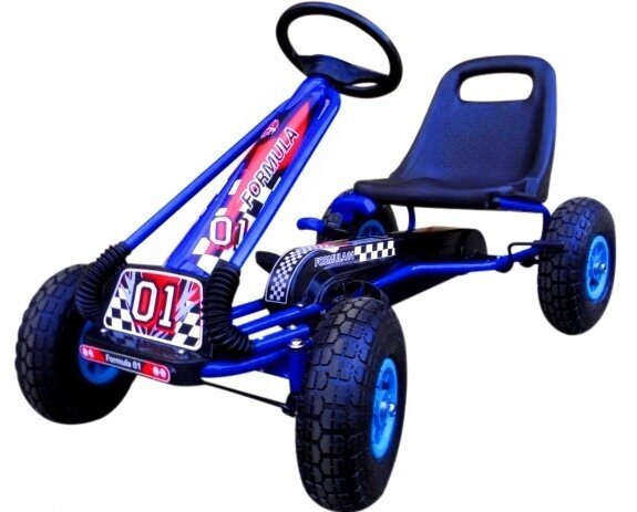 Auto lastele Gokart hind ja info | Poiste mänguasjad | kaup24.ee