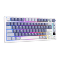 Mehaaniline klaviatuur Royal Kludge RKM75 RGB, hõbedane switch, sinine цена и информация | Клавиатуры | kaup24.ee