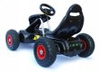 Auto lastele Gokart hind ja info | Poiste mänguasjad | kaup24.ee