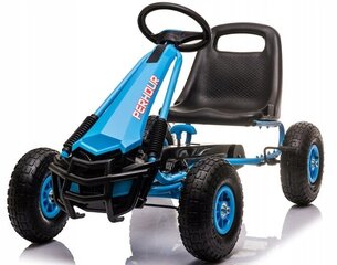 Auto lastele Gokart hind ja info | Poiste mänguasjad | kaup24.ee