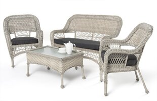 Lounge set Casa Natural, synthetic rattan, steel, gray цена и информация | Комплекты уличной мебели | kaup24.ee