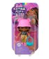 Kirjeldus Barbie Extra Fly nukud reisida stiilis, Kiik julge moe erinevate reisisihtkohtadesse! Iga posable 3,25-tolline Barbie Extra Mini Minis nukk on oma unikaalne välimus koos komplekt ideaalne lumi, kõrb, safari või rannas põgenemine. Sihtkoha-teemal hind ja info | Tüdrukute mänguasjad | kaup24.ee