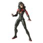 Kuju Marvel Legends Series Spider-Man Jessica Drew hind ja info | Poiste mänguasjad | kaup24.ee