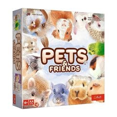 Описание
Домашние животные и друзья
В игре Pets & Friends игроки пытаются найти символы на плитках лицом вниз, необходимые для получения карточек с домашними животными. Собранные питомцы дают игрокам как очки в конце игры, так и специальные способности, помогающие заработать больше питомцев.
Номер детали
02443
Тип: Семейное и социальное
Минимум Количество игроков 2
Макс. Количество игроков 4
База версий
Языковая версия: английский
Минимальный возраст 6 лет
Пол Мальчики
Пол Девочки
Продукт с батарейным питанием нет
Батареи в комплекте
Питание Не применимо
Другие функции
Размеры упаковки: 24,5 х 24,5 х 5,3 см цена и информация | Настольные игры, головоломки | kaup24.ee