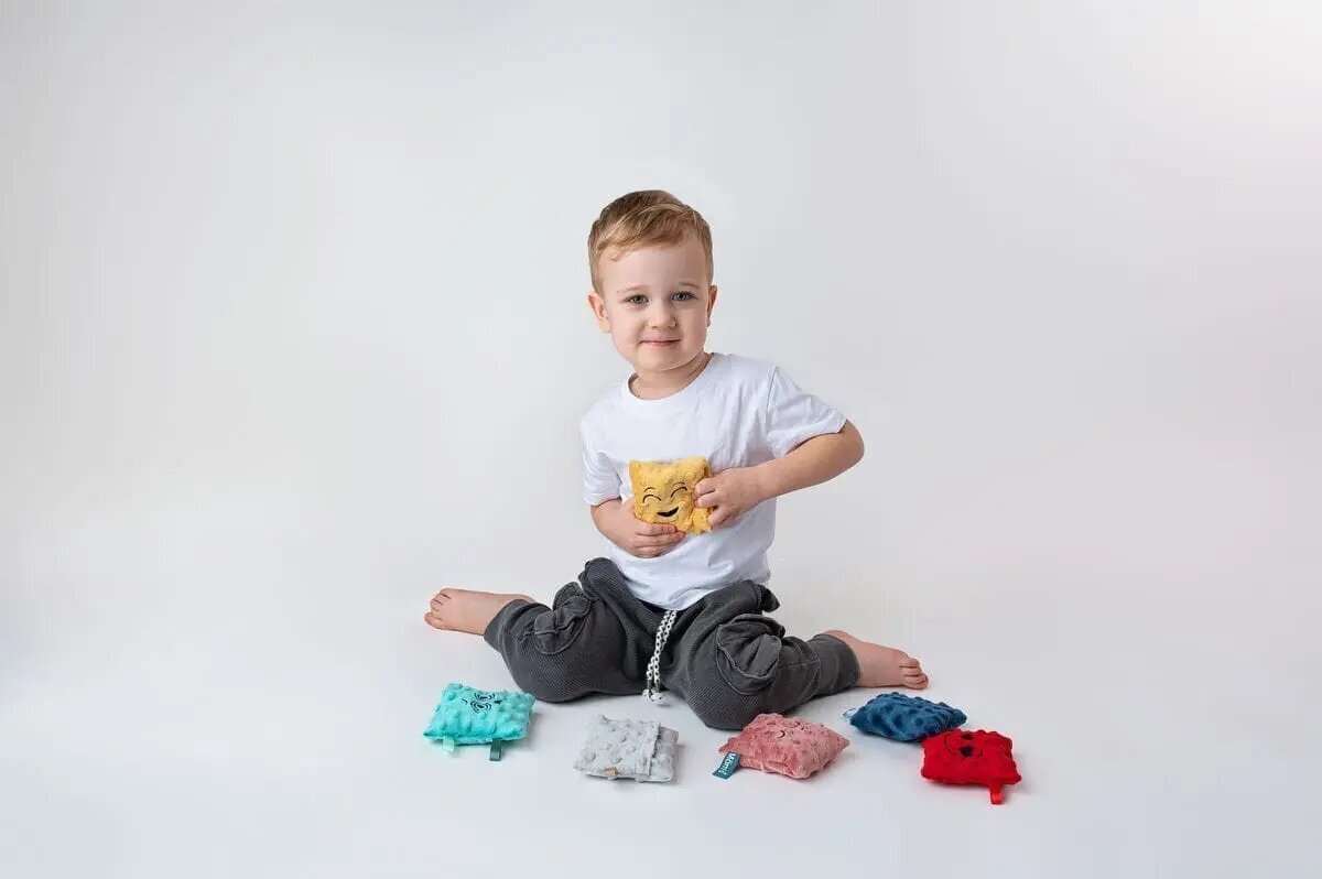 Sensoorsete kottide komplekt lastele Mom's Care Emotion hind ja info | Imikute mänguasjad | kaup24.ee