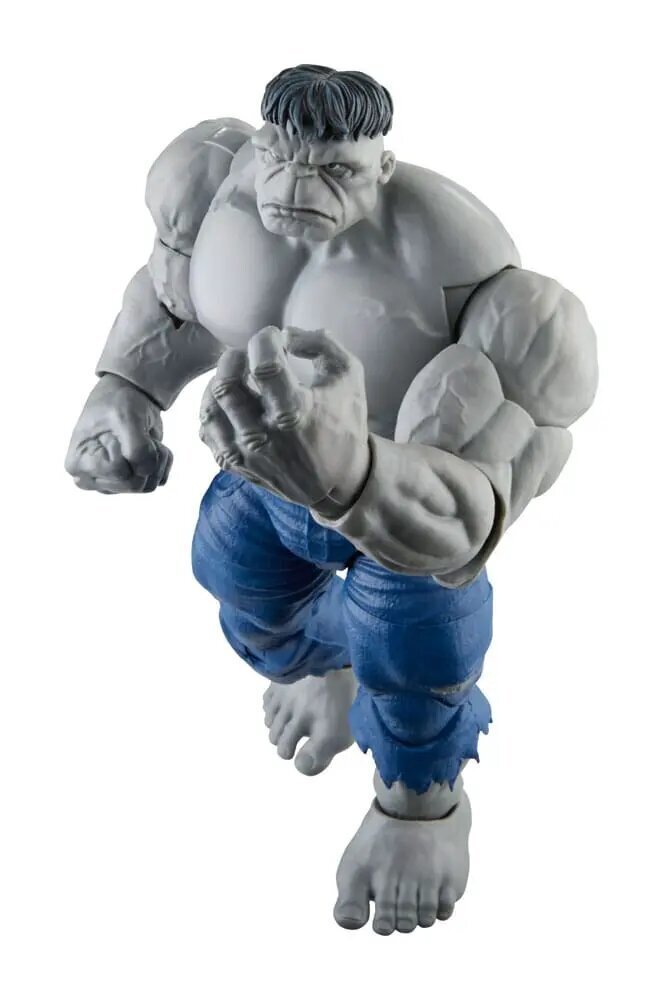 Kujude komplekt Marvel Avengers Legends Gray Hulk and Dr. Bruce Banner hind ja info | Poiste mänguasjad | kaup24.ee