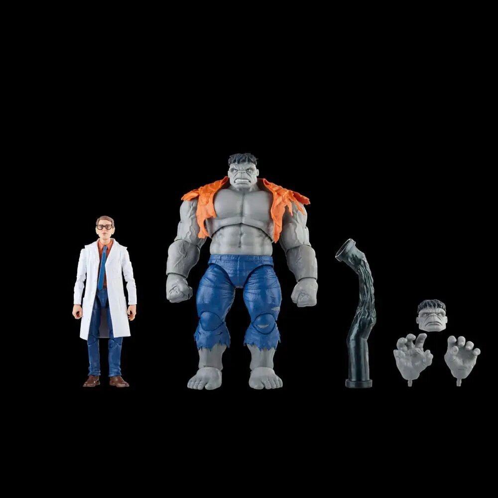 Kujude komplekt Marvel Avengers Legends Gray Hulk and Dr. Bruce Banner hind ja info | Poiste mänguasjad | kaup24.ee