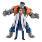 Kujude komplekt Marvel Avengers Legends Gray Hulk and Dr. Bruce Banner hind ja info | Poiste mänguasjad | kaup24.ee