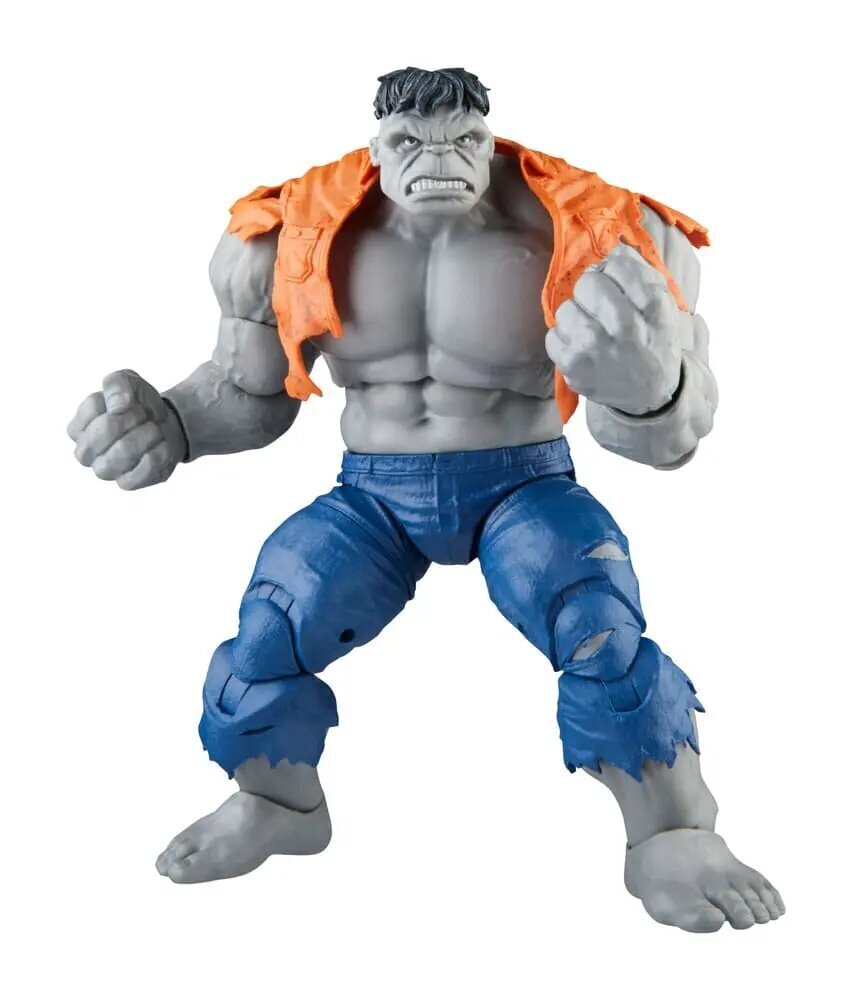 Kujude komplekt Marvel Avengers Legends Gray Hulk and Dr. Bruce Banner цена и информация | Poiste mänguasjad | kaup24.ee