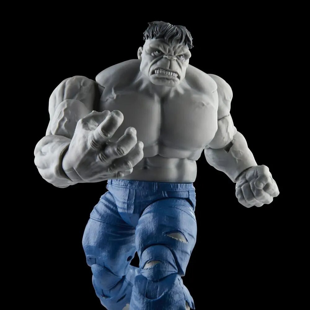 Kujude komplekt Marvel Avengers Legends Gray Hulk and Dr. Bruce Banner hind ja info | Poiste mänguasjad | kaup24.ee