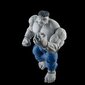 Kujude komplekt Marvel Avengers Legends Gray Hulk and Dr. Bruce Banner цена и информация | Poiste mänguasjad | kaup24.ee