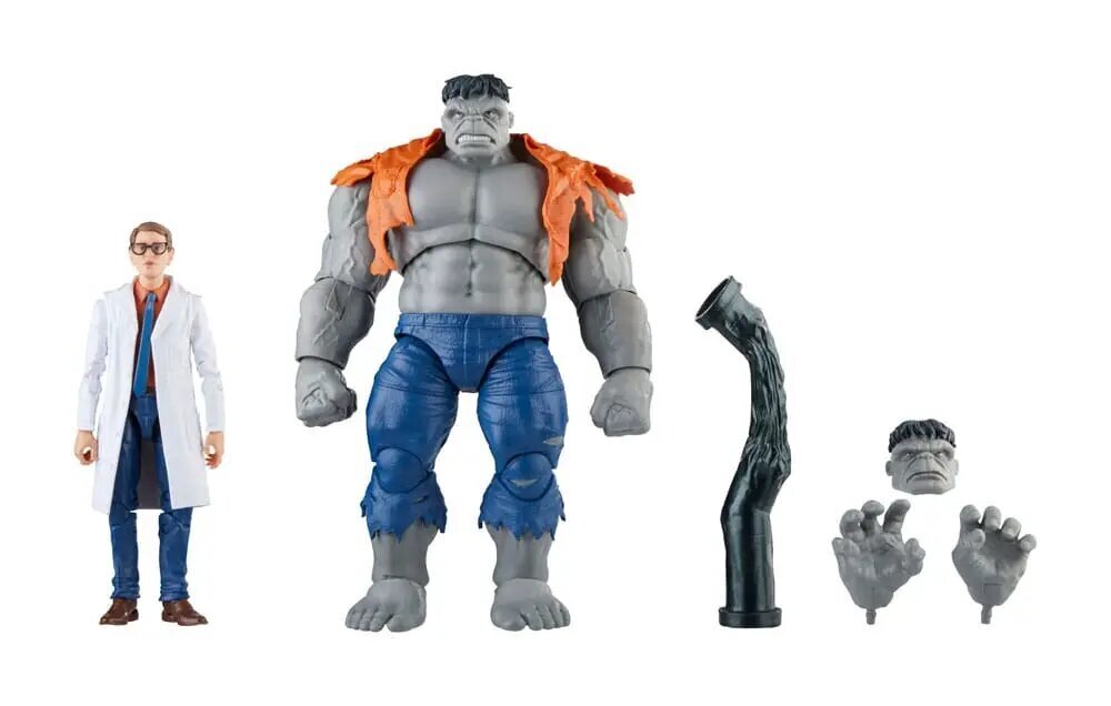 Kujude komplekt Marvel Avengers Legends Gray Hulk and Dr. Bruce Banner цена и информация | Poiste mänguasjad | kaup24.ee