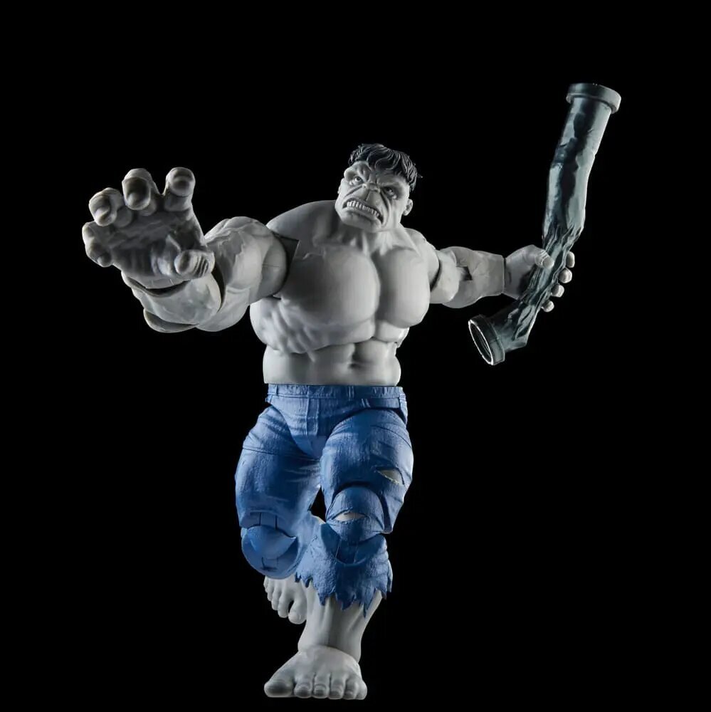 Kujude komplekt Marvel Avengers Legends Gray Hulk and Dr. Bruce Banner hind ja info | Poiste mänguasjad | kaup24.ee