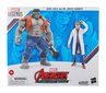 Kujude komplekt Marvel Avengers Legends Gray Hulk and Dr. Bruce Banner цена и информация | Poiste mänguasjad | kaup24.ee