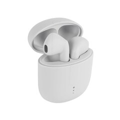 Setty Bluetooth earphones TWS with a charging case TWS-0 white цена и информация | Наушники | kaup24.ee