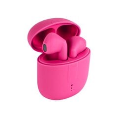 Setty Bluetooth earphones TWS with a charging case STWS-16 pink цена и информация | Наушники | kaup24.ee