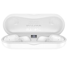Borofone TWS Bluetooth Earphones BW41 Prestige White цена и информация | Наушники | kaup24.ee
