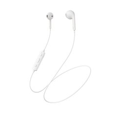 Borofone Sports earphones BE22 Free Run bluetooth white цена и информация | Наушники | kaup24.ee