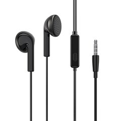 Borofone Earphones BM40 Sage цена и информация | Наушники | kaup24.ee