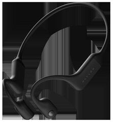 Haylou BC01  Wireless Earbuds Black цена и информация | Наушники | kaup24.ee