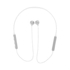 GJBY headphones - SPORTS BLUETOOTH CA-113 White цена и информация | Наушники | kaup24.ee