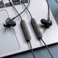 GJBY headphones - BLUETOOTH CA-115 Gold цена и информация | Наушники | kaup24.ee