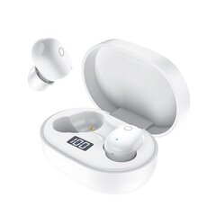 Borofone TWS Bluetooth Earphones BW06 Manner White цена и информация | Наушники | kaup24.ee