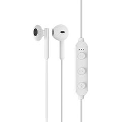 Borofone Sports earphones BE27 Cool Song bluetooth white цена и информация | Наушники | kaup24.ee