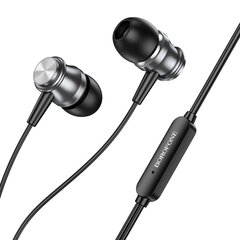 Borofone Earphones BM75 Platinum Metal grey цена и информация | Наушники | kaup24.ee