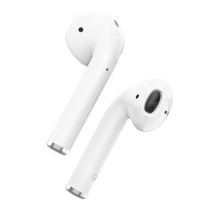 Borofone TWS Bluetooth Earphones BW31 White цена и информация | Наушники | kaup24.ee