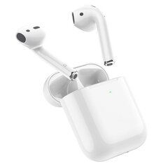 Borofone TWS Bluetooth Earphones BW31 White цена и информация | Наушники | kaup24.ee