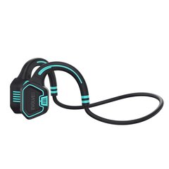 EVOLVEO BoneSwim MP3 16GB, беспроводные скуловые наушники, синий цена и информация | Наушники | kaup24.ee