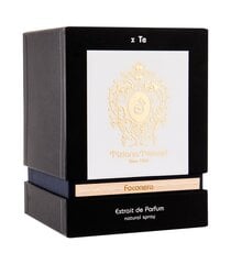 Parfüümvesi Tiziana Terezi Foconero EDP naistele/meestele 100 ml цена и информация | Женские духи | kaup24.ee