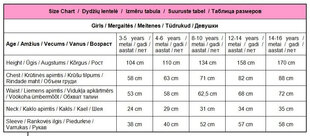 Костюм Дракулауры Monster High для девочки, 110-120 см цена и информация | Карнавальные костюмы | kaup24.ee