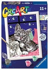 Ravensburger - серия Creart и сладкие котята, краска 11+ лет, 202133 цена и информация | Живопись по номерам | kaup24.ee