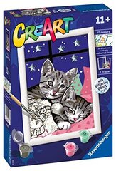 Ravensburger - серия Creart и сладкие котята, краска 11+ лет, 202133 цена и информация | Живопись по номерам | kaup24.ee