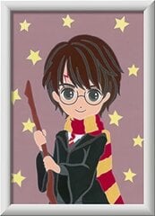 Maali numbrite järgi Ravensburger Harry Potter, 13 x 18 cm hind ja info | Maalid numbri järgi | kaup24.ee