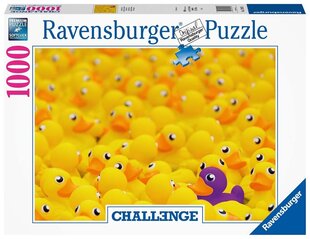 Ravensburgeri mõistatus queaky 1000p 17097 hind ja info | Pusled | kaup24.ee