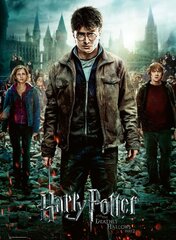 Pusle Ravensburger Harry Potter, 300 tk цена и информация | Пазлы | kaup24.ee