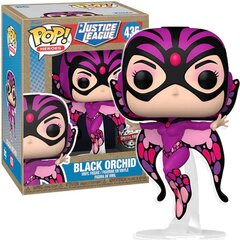 Funko Pop! DC Super Heroes Black Orchid 435 62704 цена и информация | Атрибутика для игроков | kaup24.ee