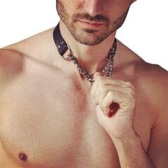 Сексуальный кожаный ошейник с цепочками цена и информация | Сексуальное бельё для мужчин | kaup24.ee
