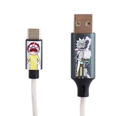 Зарядный кабель с подсветкой и разъемами USB A-C, длиной 1,2 м Рик и Морти цена и информация | Borofone 43757-uniw | kaup24.ee