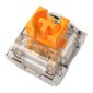 Razer Orange Switches X 36 hind ja info | Klaviatuurid | kaup24.ee