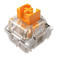 Razer Orange Switches X 36 цена и информация | Клавиатура с игровой мышью 3GO COMBODRILEW2 USB ES | kaup24.ee