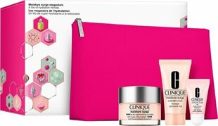 Moisture Surge Skin Care Gift Set hind ja info | Näokreemid | kaup24.ee