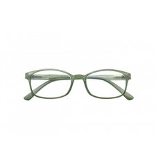 Brilles lasīšanai 7111 D1.25 Olive цена и информация | Очки | kaup24.ee