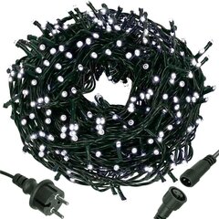 1000LED Гирлянда белая 61.5M цена и информация | Новогодняя гирлянда Holiday, 10 светодиодов, 30 см | kaup24.ee