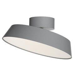 Nordlux laelamp Kaito Dim 2220506010 цена и информация | Потолочные светильники | kaup24.ee
