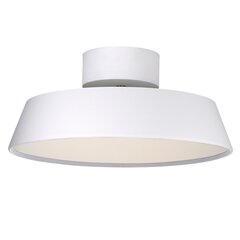 Nordlux laelamp Kaito Dim 2220506001 hind ja info | Laelambid | kaup24.ee